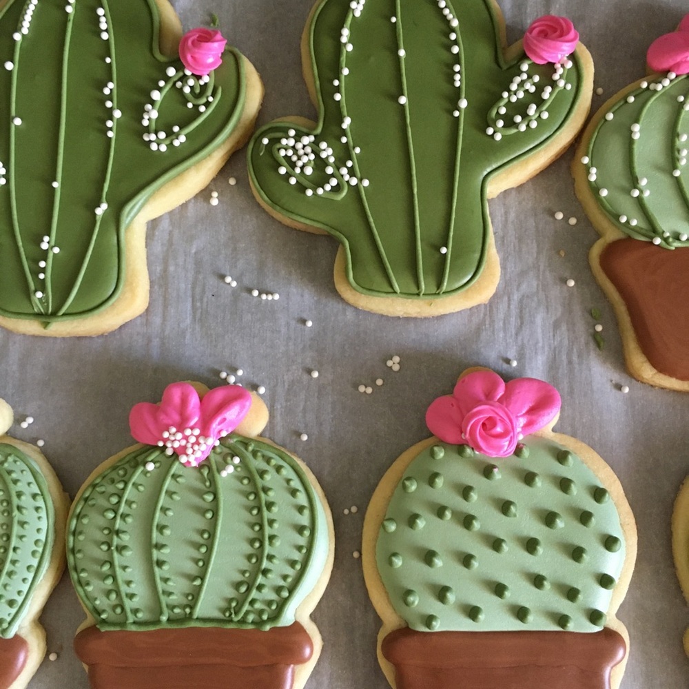 Meet your Posher, Janel